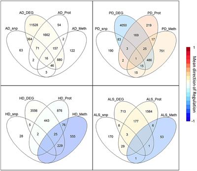 The Big Picture of Neurodegeneration: A Meta Study to Extract the Essential Evidence on Neurodegenerative Diseases in a Network-Based Approach